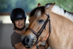 Reitstunde Fotografie Aloys Peter Trenz Reiterin mit Helm streichelt ein braunes Pferd