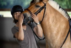 Reitstunde Fotografie Aloys Peter Trenz Reiterin streichelt ein braunes Pferd in einem Reitstall