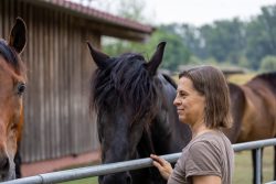 Reitstunde Fotografie Aloys Peter Trenz Frau interagiert mit zwei Pferden an einem Zaun