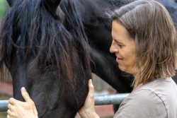 Reitstunde Fotografie Aloys Peter Trenz Frau streichelt schwarzen Pferdekopf mit sanften Händen