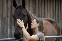 Reitstunde Fotografie Aloys Peter Trenz Frau streichelt liebevoll ein braunes Pferd im Freien