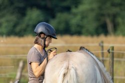 Reitstunde Fotografie Aloys Peter Trenz Frau mit Helm sattelt ein Pferd auf einer Wiese