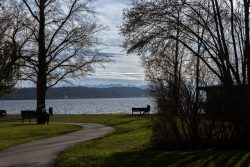 Ammersee Januar 2023 Fotografie Aloys Peter Trenz Ein herbstlicher Tag am See mit Blick auf Berge und Wasser Ammersee Januar 2023 Fotografie Aloys Peter Trenz Seeufer im Herbst mit Bäumen und Weg im Vordergrund