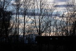 Starnberger See Januar 2023 Fotografie Aloys Peter Trenz Bäume und Äste heben sich vor einem farbenfrohen Himmel bei Sonnenuntergang ab Starnberger See Januar 2023 Fotografie Aloys Peter Trenz Winterliche Bäume im Sonnenuntergang mit bewölktem Himmel