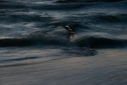 Sylt Fotografie Licht - Bewegung Oktober 2021 Holzpfähle im stürmischen Meer reflektieren Mondlicht bei Dämmerung