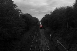 Sylt Fotografie Licht - Bewegung Oktober 2021 Roter Zug auf Gleisen zwischen bewaldeten Gebieten unter bewölktem Himmel