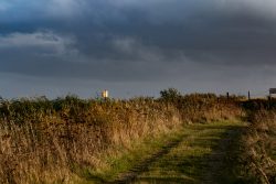 Sylt Fotografie Licht - Bewegung Oktober 2021 Ländlicher Weg bei Sonnenuntergang mit bewölktem Himmel