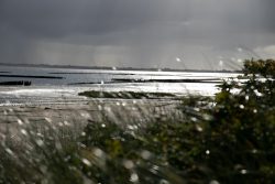 Sylt Fotografie Licht - Bewegung Oktober 2021 Stürmische Nordseeküste mit bewölktem Himmel und Gras im Vordergrund