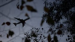 Tier- und Naturfotografie Jacobiweiher Frankfurt Oktober 2022 Flugzeug am Himmel mit Silhouette von Bäumen im Vordergrund