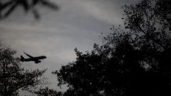 Tier- und Naturfotografie Jacobiweiher Frankfurt Oktober 2022 Flugzeug landet im Abenddämmerung bei bewölktem Himmel