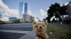Urban Life und Streetfotografie Frankfurt Juni 2022 Teddybär auf einer Mauer mit Hochhaus im Hintergrund