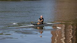 Urban Life und Streetfotografie Frankfurt Juni 2022 Einzelner Ruderer in einem Ruderboot auf einem ruhigen Fluss