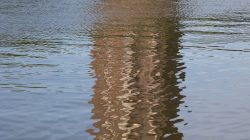 Urban Life und Streetfotografie Frankfurt Juni 2022 Wellenspiegelung eines alten Turms in einem ruhigen Gewässer