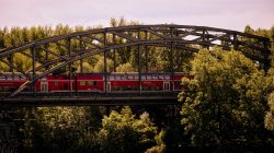 Urban Life und Streetfotografie Frankfurt Juni 2022 Regionalzug auf Brücke mit üppiger Baumlandschaft im Hintergrund