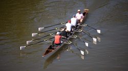 Urban Life und Streetfotografie Frankfurt Juni 2022 Vierköpfiges Ruderteam in Boot auf Fluss bei sonnigem Wetter