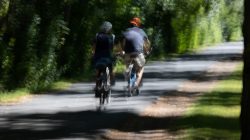 Urban Life und Streetfotografie Frankfurt Juni 2022 Verschwommene Radfahrer auf sonnigem Waldweg
