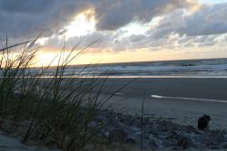 Insel Wangerooge Landschaftsfotografie Mai 2020 Sonnenuntergang am Strand mit Dünen und Meer im Hintergrund