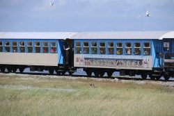 Insel Wangerooge Landschaftsfotografie Mai 2020 Regionalzug auf dem Marschland, unter blauem Himmel
