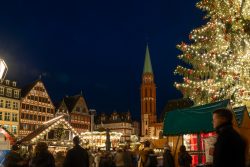 Weihnachtsmarkt Frankfurt Am Römer Dezember 2024 Weihnachtsmarkt in Frankfurt bei Nacht mit Lichter geschmücktem Baum
