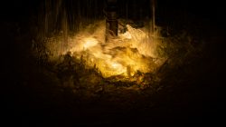 Wiesbaden Architektur- Naturfotografie Oktober 2022 Dunkler Hintergrund mit spritzendem Wasser beleuchtet von warmem Licht