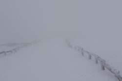 Winterwelt Taunus Landschaftsfotografie Schneebedeckter Wanderweg im dichten Nebel