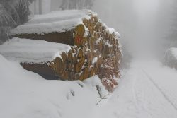 Winterwelt Taunus Landschaftsfotografie Schneebedeckte Holzstapel im winterlichen Wald