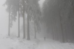 Winterwelt Taunus Landschaftsfotografie Jogger in nebligem Winterwald bei Schnee