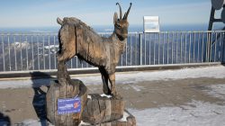 Zugspitze Dezember 2022 Holzskulptur eines Steinbocks auf der Zugspitze mit Alpenblick
