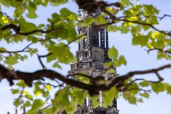 Dresden Mai 2026 Frauenkirche Dresden Turm durch grüne Blätter fotografiert