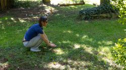 Meissen Mai 2026 Person hockt im sonnigen Park mit grüner Wiese