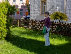 Meissen Mai 2026 Frau zeigt auf Garten in einer sonnigen Wohngegend, umgeben von Bäumen und Blumen