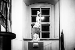 Meissen Mai 2026 Schwarz-weiß Skulptur eines Pfau vor einem Fenster in einem historischen Gebäude