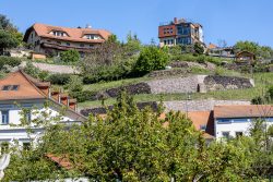Meissen Mai 2026 Häuser auf einem Weinberg in Stuttgart mit Blick auf moderne und traditionelle Architektur