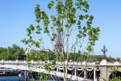 Paris Juni 2026 Blick auf den Eiffelturm und die Pont Alexandre III in Paris