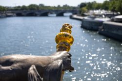 Paris Juni 2026 Detail des Pont Alexandre III Geländers mit Löwenkopf und Blick auf die Seine