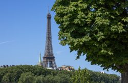 Paris Juni 2026 Eiffelturm und Bäume an einem sonnigen Tag in Paris