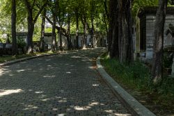 Paris Juni 2026 Schattiger, mit Bäumen gesäumter Weg auf einem historischen Friedhof