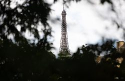 Paris Juni 2026 Eiffelturm in Paris durch Bäume im Vordergrund betrachtet
