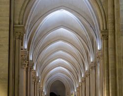 Paris Juni 2026 Gotische Gewölbedecke einer Kathedrale mit kunstvollen Bögen und Beleuchtung