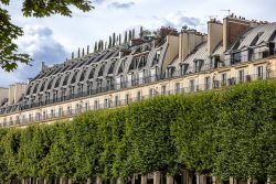 Paris Juni 2026 Pariser Gebäude mit traditioneller Architektur und grünen Bäumen im Vordergrund