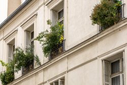 Paris Juni 2026 Pariser Gebäude mit Pflanzen in Fensternischen vor historischem Hintergrund