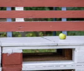 Die Kirschen in Nachbars Garten Grüner Apfel auf weißer Palettenbank im Garten