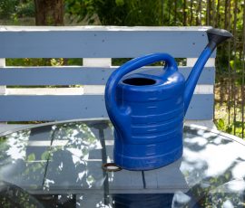 Die Kirschen in Nachbars Garten Blaue Gießkanne auf Glastisch im Garten neben Gartenbank