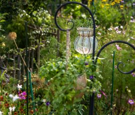 Die Kirschen in Nachbars Garten Blühender Garten mit rustikaler Laterne und Sommerblumen
